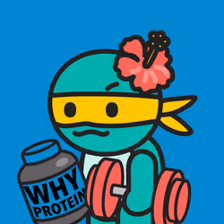 Zeny (ゼニー) #16707