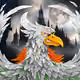 970