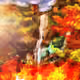 Phoenix Five Color Falls