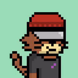 Neko #1091