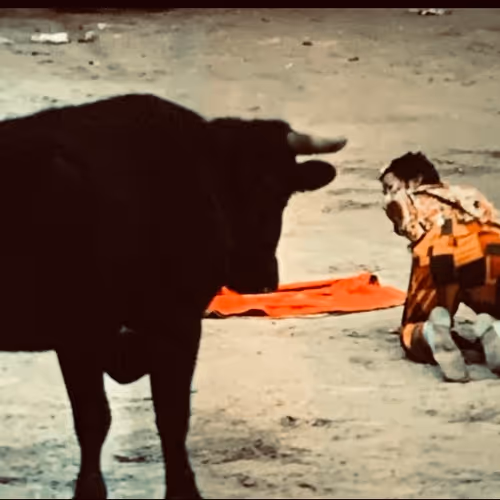  THE BULL & CLOWN
