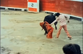 MATADOR SWEEP