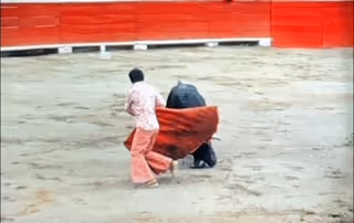 RAGING BULL