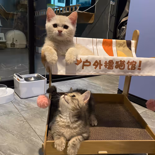 05063.lens-Collect-3190