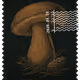 1432