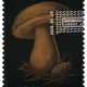 1431