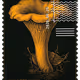 200