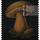 1291