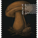 1404