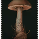 214