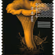 946