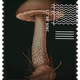 1083