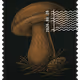 1498