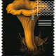 1080