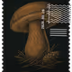 198