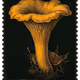 533