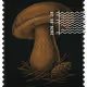 1408