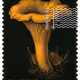 1343
