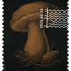 1289