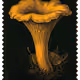 1270