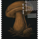259