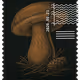 1076