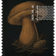 315