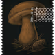 1499