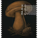 1501