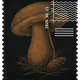 337