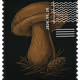 260