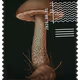 1103