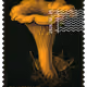 1339