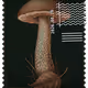 943