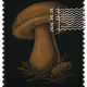 1491