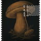 1394