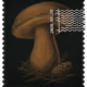 1227