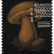 536