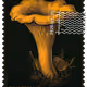1371
