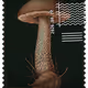 1207