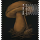1407