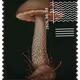 872