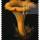 661