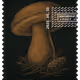 1096