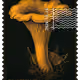 779