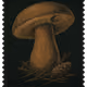 1050
