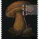 1500