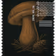 905