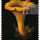 1372