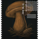 244